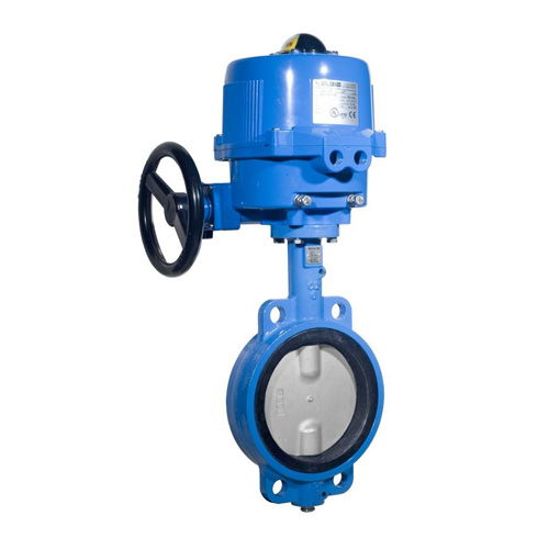 Wafer-Type-Butterfly-Valve-Disc+Expoy-spray.jpg