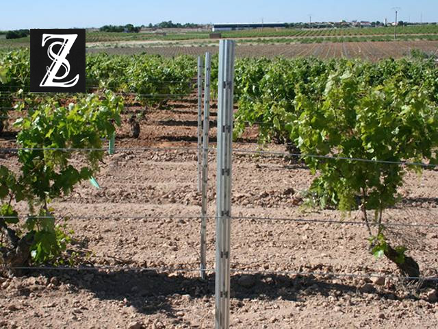 Several galvanized typical vineyard posts and plants are in the orchard.