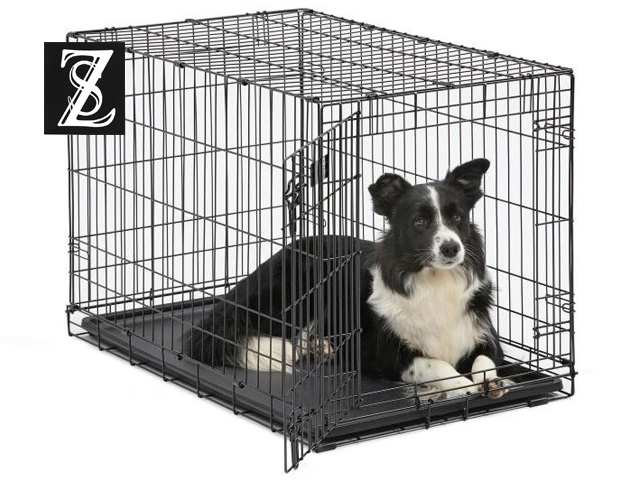 dog crate